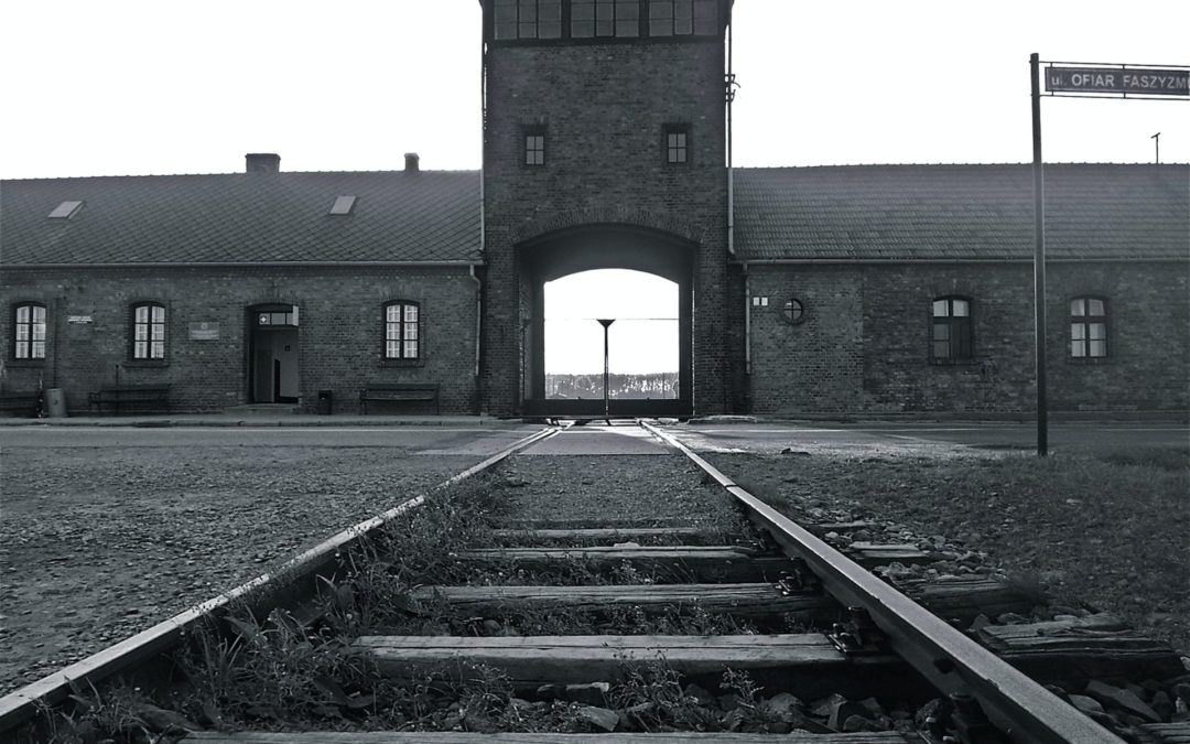 Sympathy, Solidarity, and Silence: Three European Baptist Responses to the Holocaust (Book excerpt)