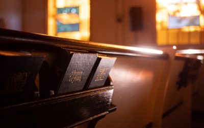 The origin and evolution of the Black Baptist church (Book excerpt)